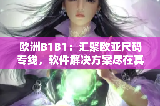歐洲B1B1：匯聚歐亞尺碼專線，軟件解決方案盡在其中