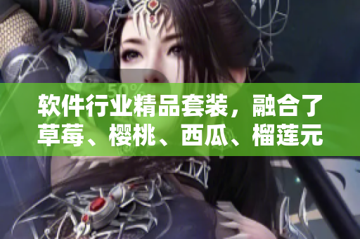 軟件行業(yè)精品套裝，融合了草莓、櫻桃、西瓜、榴蓮元素