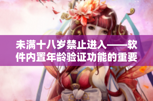 未滿十八歲禁止進(jìn)入——軟件內(nèi)置年齡驗(yàn)證功能的重要性