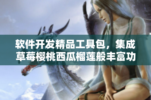 軟件開發(fā)精品工具包，集成草莓櫻桃西瓜榴蓮般豐富功能
