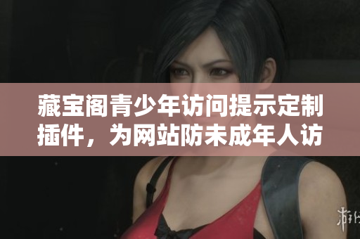 藏寶閣青少年訪問提示定制插件，為網(wǎng)站防未成年人訪問提供解決方案