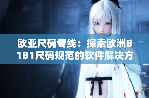 歐亞尺碼專線：探索歐洲B1B1尺碼規(guī)范的軟件解決方案