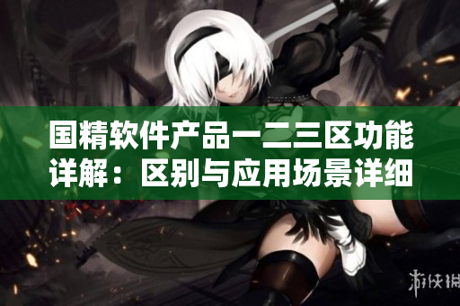 國精軟件產(chǎn)品一二三區(qū)功能詳解：區(qū)別與應(yīng)用場景詳細(xì)比較