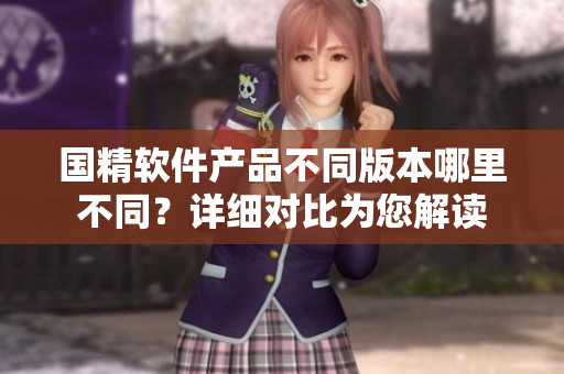 國精軟件產(chǎn)品不同版本哪里不同？詳細對比為您解讀