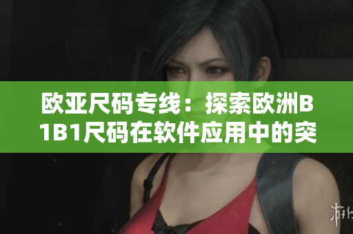 歐亞尺碼專(zhuān)線(xiàn)：探索歐洲B1B1尺碼在軟件應(yīng)用中的突破