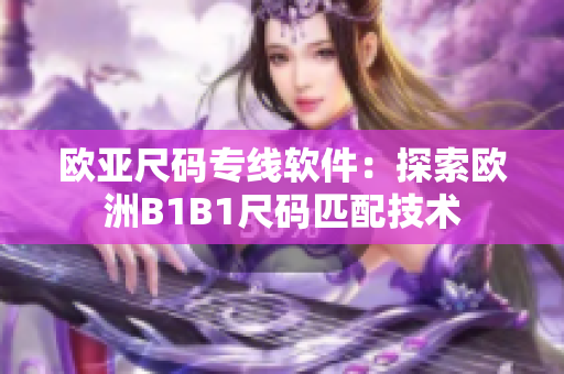 歐亞尺碼專線軟件：探索歐洲B1B1尺碼匹配技術