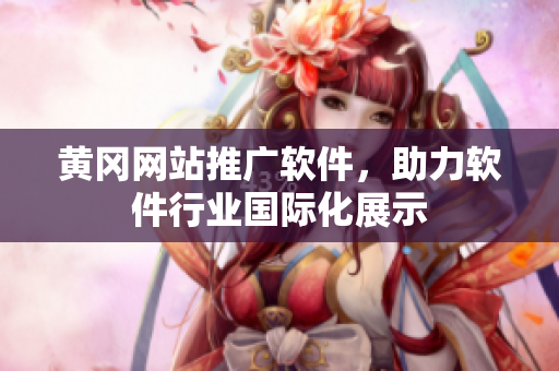黃岡網(wǎng)站推廣軟件，助力軟件行業(yè)國際化展示