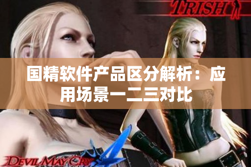 國精軟件產(chǎn)品區(qū)分解析：應(yīng)用場景一二三對比