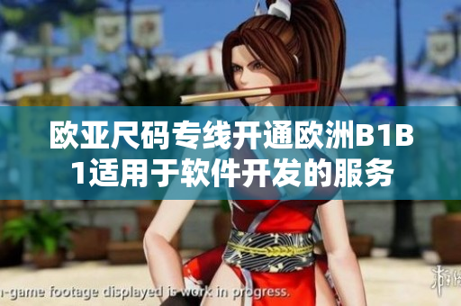 歐亞尺碼專線開通歐洲B1B1適用于軟件開發(fā)的服務(wù)