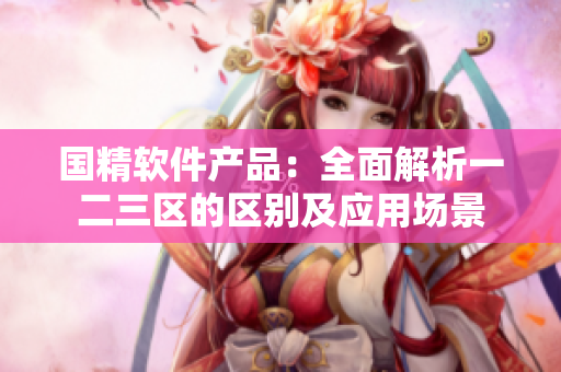 國精軟件產(chǎn)品：全面解析一二三區(qū)的區(qū)別及應用場景