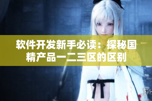 軟件開發(fā)新手必讀：探秘國(guó)精產(chǎn)品一二三區(qū)的區(qū)別