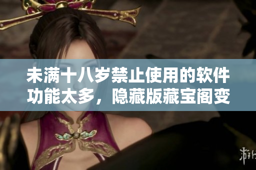 未滿十八歲禁止使用的軟件功能太多，隱藏版藏寶閣變革中
