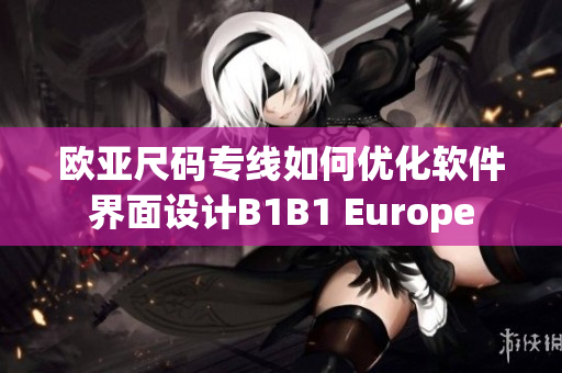 歐亞尺碼專線如何優(yōu)化軟件界面設(shè)計(jì)B1B1 Europe