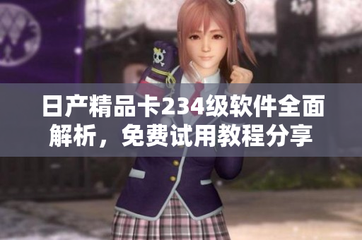 日產(chǎn)精品卡234級軟件全面解析，免費試用教程分享
