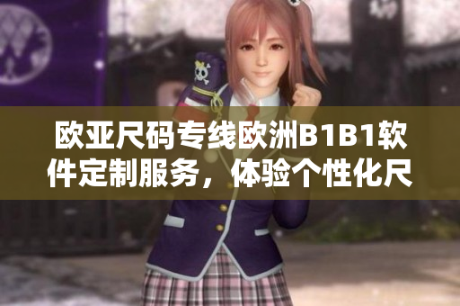 歐亞尺碼專線歐洲B1B1軟件定制服務(wù)，體驗(yàn)個(gè)性化尺碼解決方案