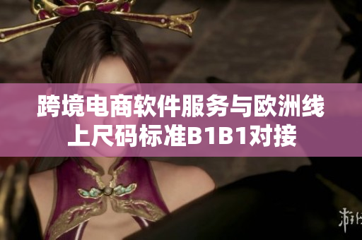 跨境電商軟件服務(wù)與歐洲線上尺碼標(biāo)準(zhǔn)B1B1對接
