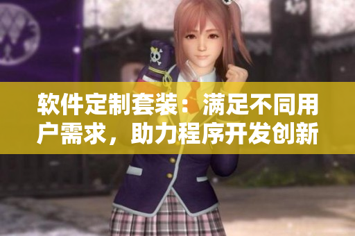 軟件定制套裝：滿足不同用戶需求，助力程序開發(fā)創(chuàng)新