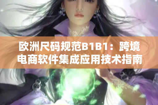 歐洲尺碼規(guī)范B1B1：跨境電商軟件集成應用技術指南
