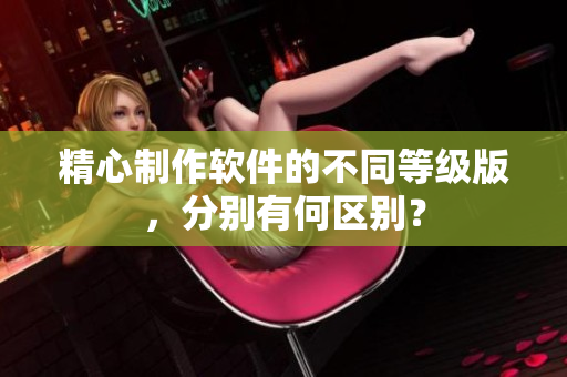 精心制作軟件的不同等級版，分別有何區(qū)別？