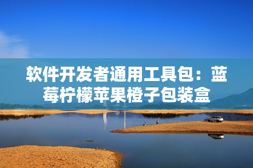 軟件開發(fā)者通用工具包：藍莓檸檬蘋果橙子包裝盒