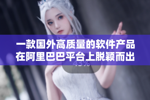 一款國外高質(zhì)量的軟件產(chǎn)品在阿里巴巴平臺上脫穎而出