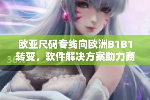 歐亞尺碼專(zhuān)線向歐洲B1B1轉(zhuǎn)變，軟件解決方案助力商務(wù)擴(kuò)展