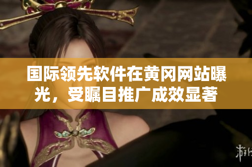 國際領(lǐng)先軟件在黃岡網(wǎng)站曝光，受矚目推廣成效顯著