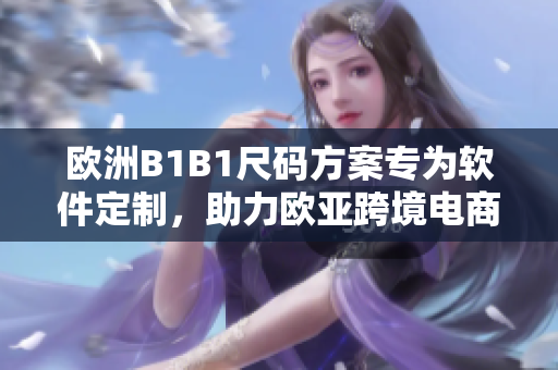 歐洲B1B1尺碼方案專為軟件定制，助力歐亞跨境電商擴(kuò)展