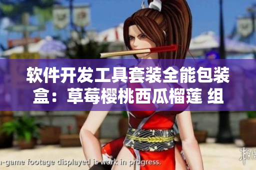 軟件開發(fā)工具套裝全能包裝盒：草莓櫻桃西瓜榴蓮 組合箱