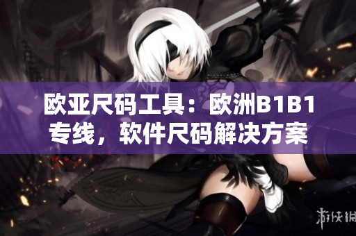 歐亞尺碼工具：歐洲B1B1專線，軟件尺碼解決方案