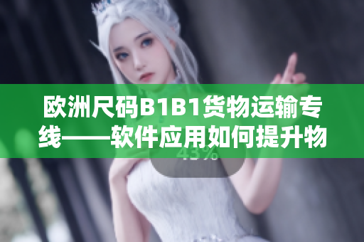 歐洲尺碼B1B1貨物運(yùn)輸專(zhuān)線——軟件應(yīng)用如何提升物流運(yùn)輸效率