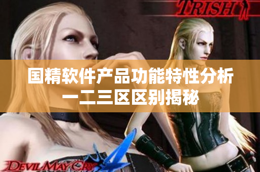 國精軟件產(chǎn)品功能特性分析一二三區(qū)區(qū)別揭秘