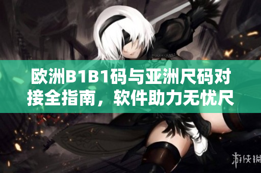 歐洲B1B1碼與亞洲尺碼對接全指南，軟件助力無憂尺碼轉換