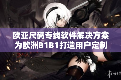 歐亞尺碼專線軟件解決方案為歐洲B1B1打造用戶定制解決方案