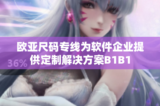 歐亞尺碼專線為軟件企業(yè)提供定制解決方案B1B1