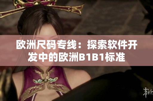 歐洲尺碼專線：探索軟件開發(fā)中的歐洲B1B1標(biāo)準(zhǔn)