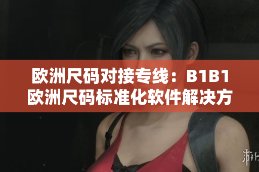 歐洲尺碼對接專線：B1B1歐洲尺碼標準化軟件解決方案