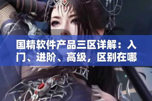 國精軟件產(chǎn)品三區(qū)詳解：入門、進階、高級，區(qū)別在哪？