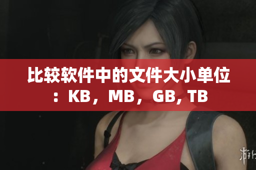 比較軟件中的文件大小單位：KB，MB，GB, TB