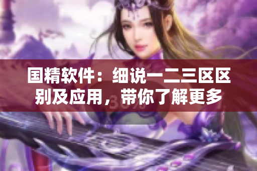 國精軟件：細(xì)說一二三區(qū)區(qū)別及應(yīng)用，帶你了解更多