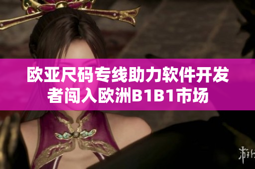 歐亞尺碼專線助力軟件開發(fā)者闖入歐洲B1B1市場