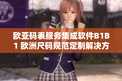 歐亞碼表服務(wù)集成軟件B1B1 歐洲尺碼規(guī)范定制解決方案