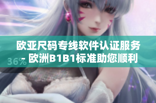 歐亞尺碼專線軟件認證服務(wù) - 歐洲B1B1標準助您順利進入歐洲市場