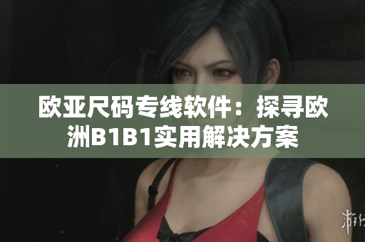 歐亞尺碼專線軟件：探尋歐洲B1B1實(shí)用解決方案
