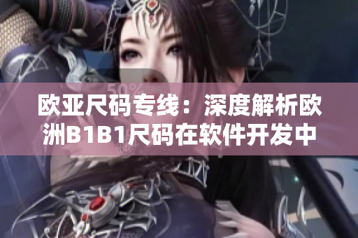 歐亞尺碼專線：深度解析歐洲B1B1尺碼在軟件開發(fā)中的應用