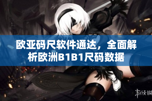歐亞碼尺軟件通達(dá)，全面解析歐洲B1B1尺碼數(shù)據(jù)