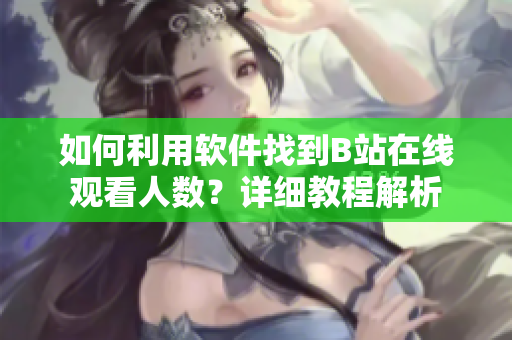 如何利用軟件找到B站在線觀看人數(shù)？詳細(xì)教程解析