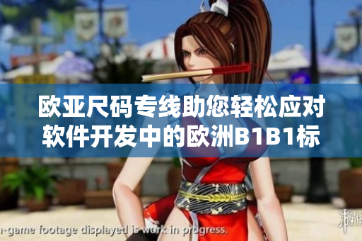 歐亞尺碼專線助您輕松應(yīng)對軟件開發(fā)中的歐洲B1B1標準
