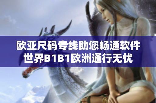 歐亞尺碼專線助您暢通軟件世界B1B1歐洲通行無憂