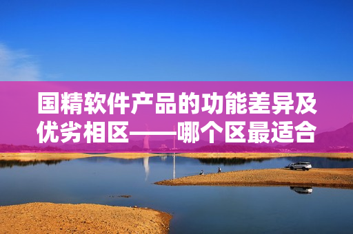 國精軟件產(chǎn)品的功能差異及優(yōu)劣相區(qū)——哪個區(qū)最適合你？